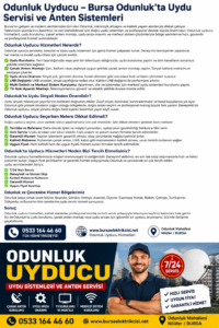 odunluk uyducu